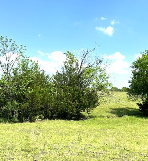Tbd Cr 663 Farmersville TX 75442