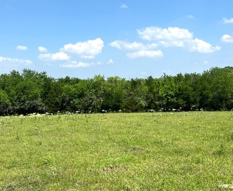 Tbd Cr 663 Farmersville TX 75442