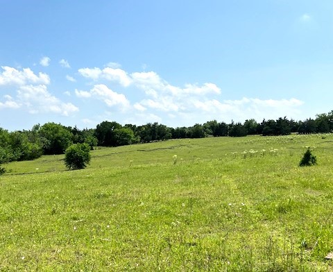 Tbd Cr 663 Farmersville TX 75442