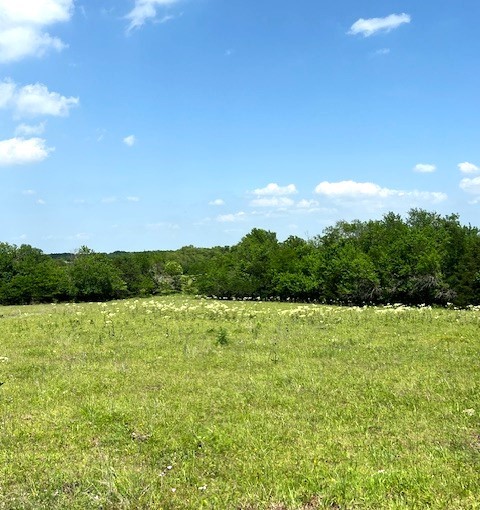 Tbd Cr 663 Farmersville TX 75442