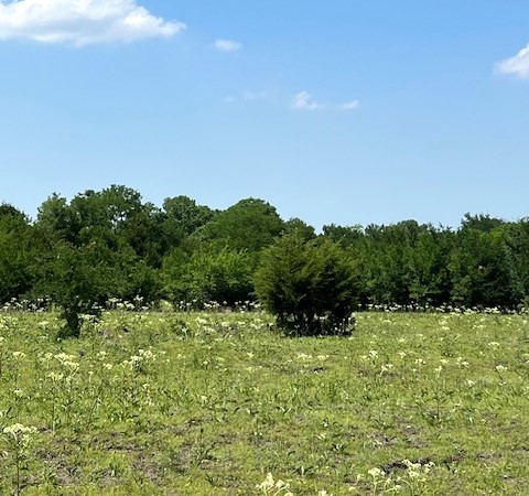 Tbd Cr 663 Farmersville TX 75442