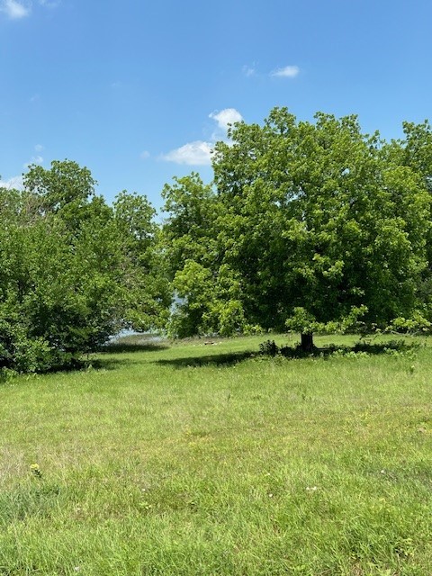 Tbd Cr 663 Farmersville TX 75442