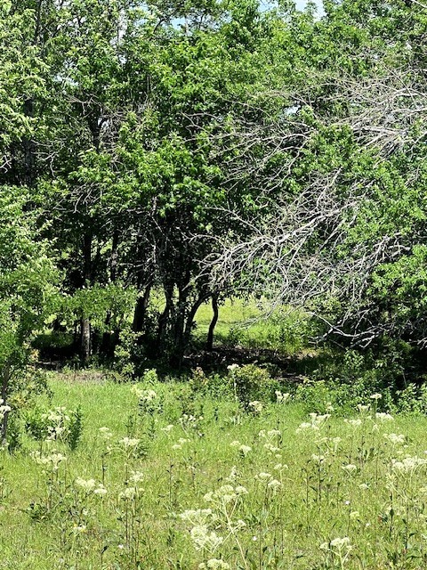 Tbd Cr 663 Farmersville TX 75442