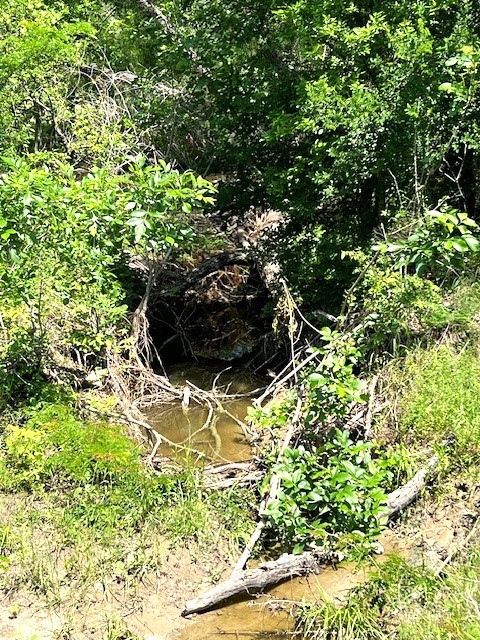 Tbd Cr 663 Farmersville TX 75442