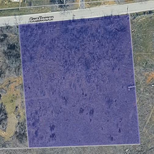 0000 Sunflower Road Paradise TX 76073