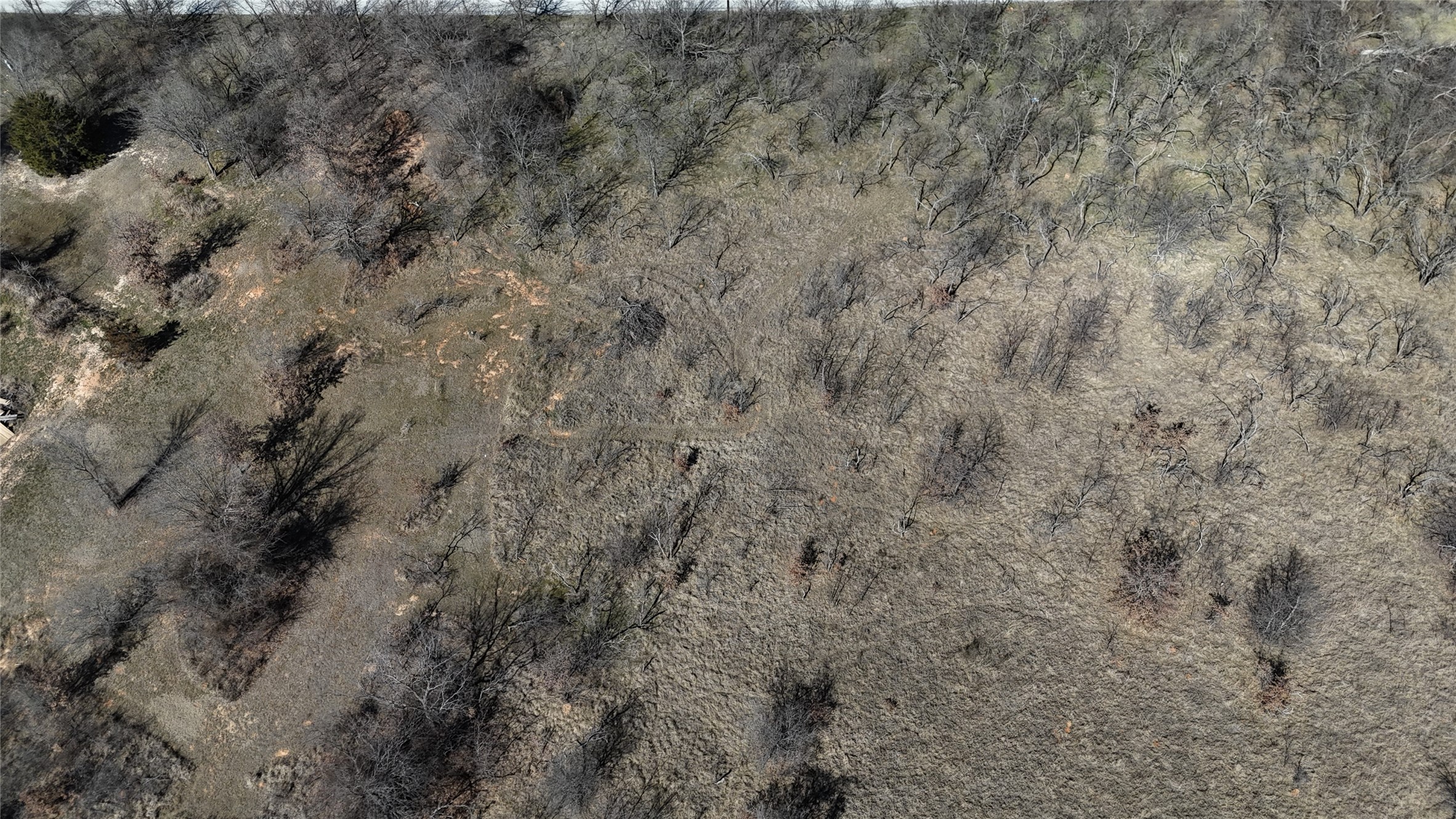 0000 Sunflower Road Paradise TX 76073
