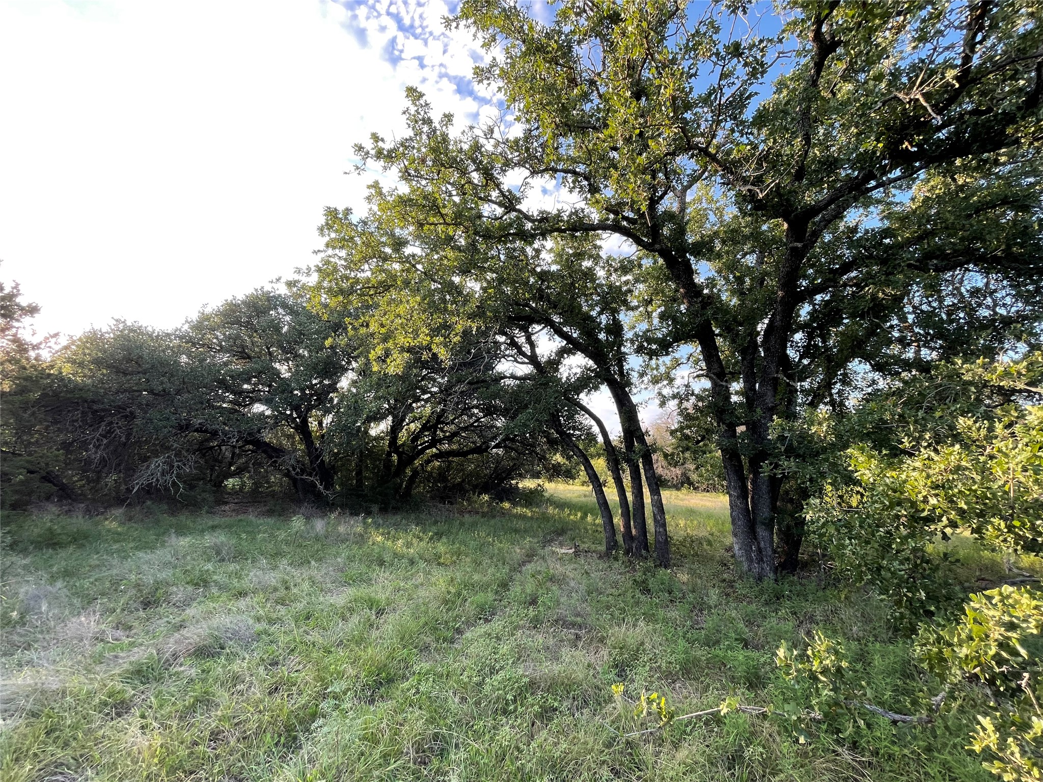 Lot 13 Cr 127 Carlton TX 76436