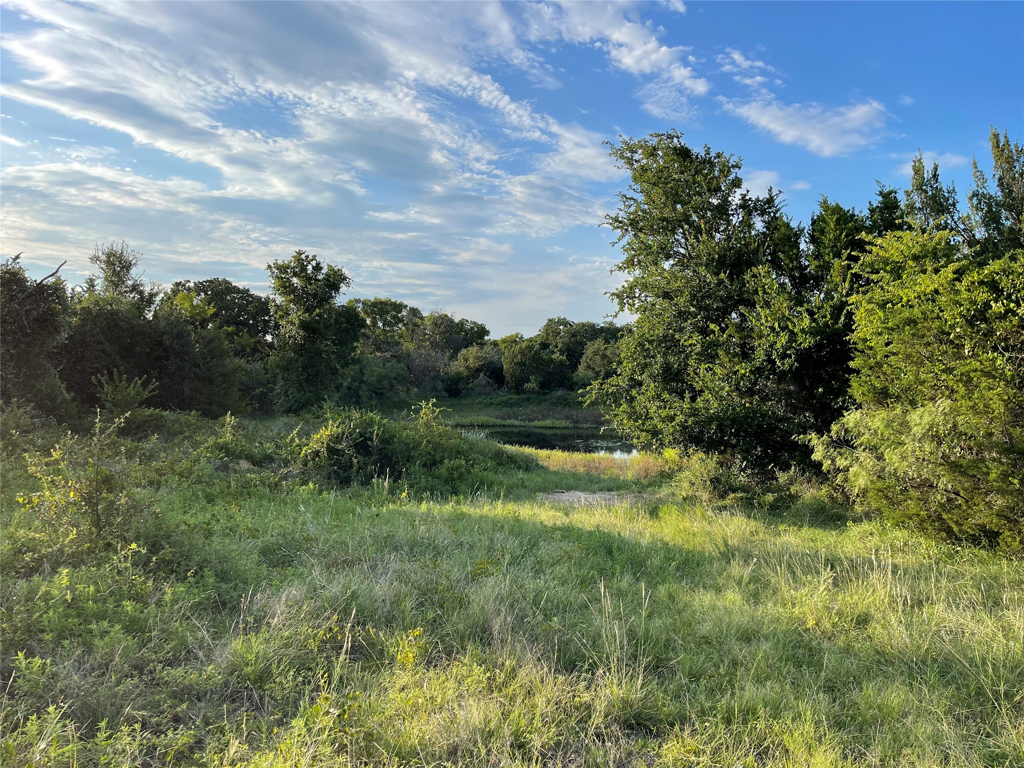 Lot 13 Cr 127 Carlton TX 76436