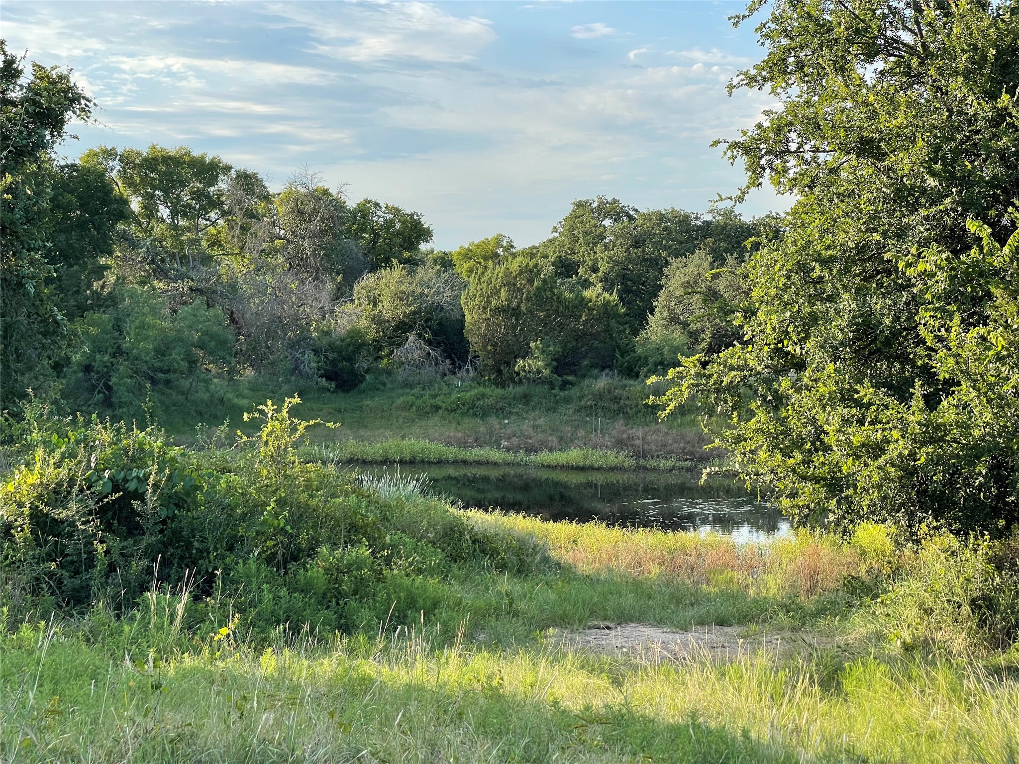 Lot 13 Cr 127 Carlton TX 76436