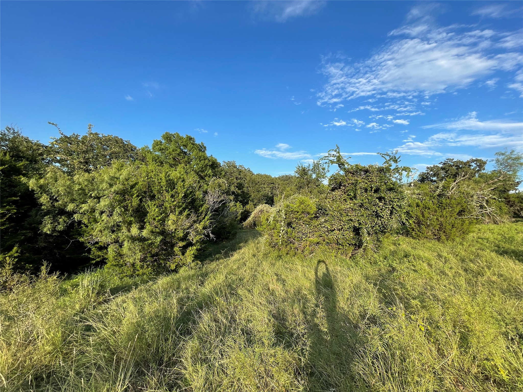 Lot 13 Cr 127 Carlton TX 76436