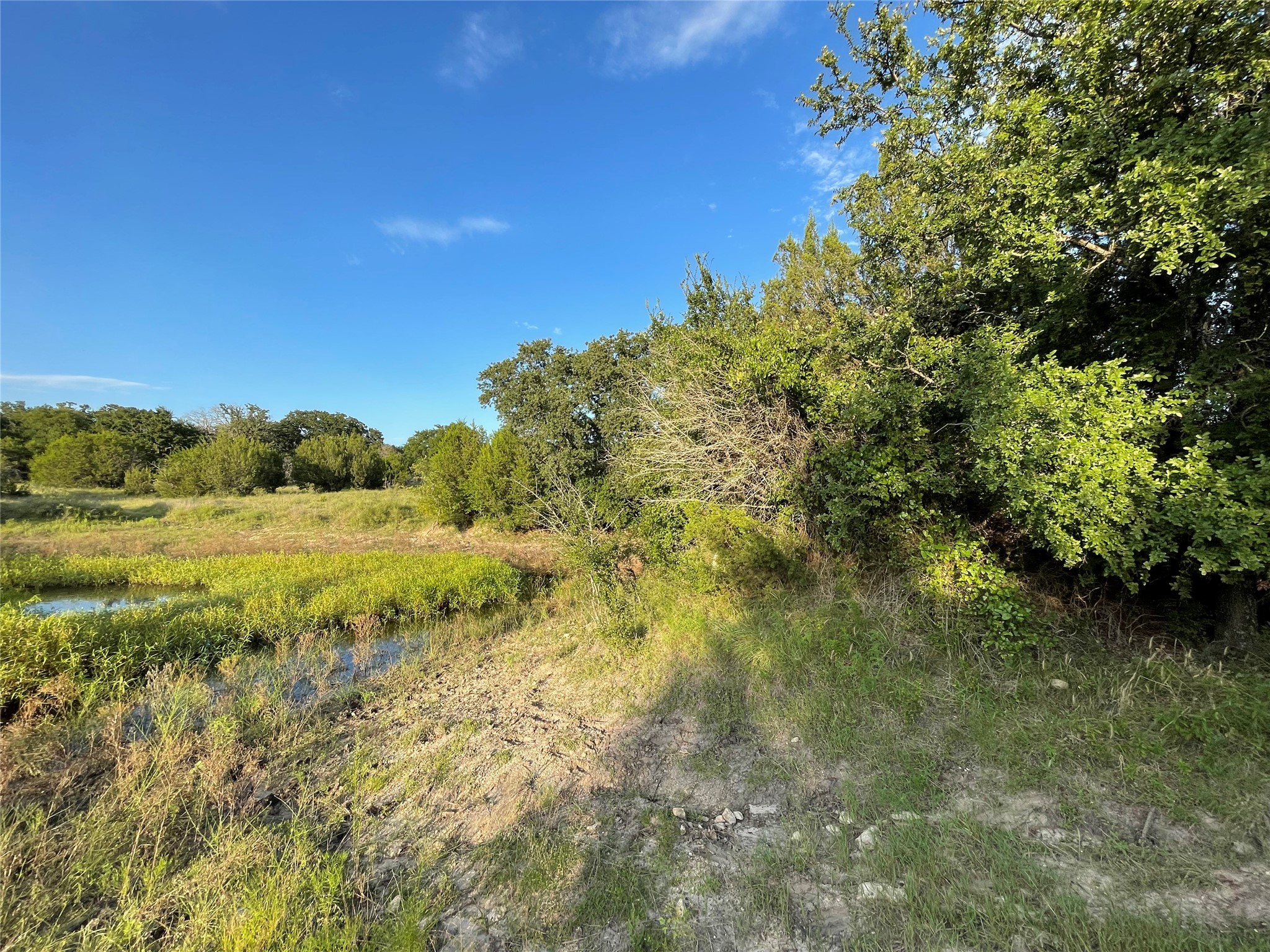 Lot 13 Cr 127 Carlton TX 76436