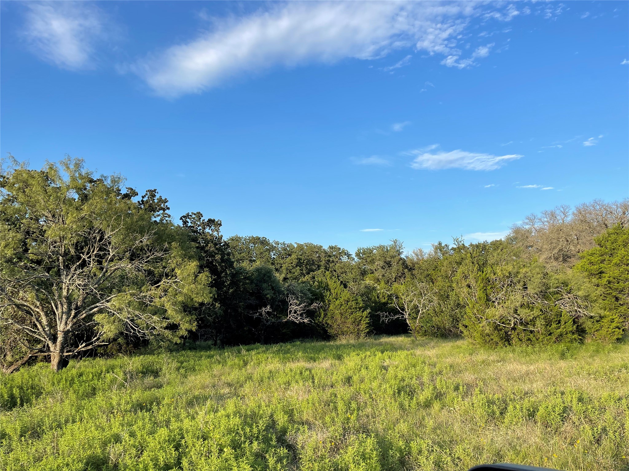 Lot 13 Cr 127 Carlton TX 76436