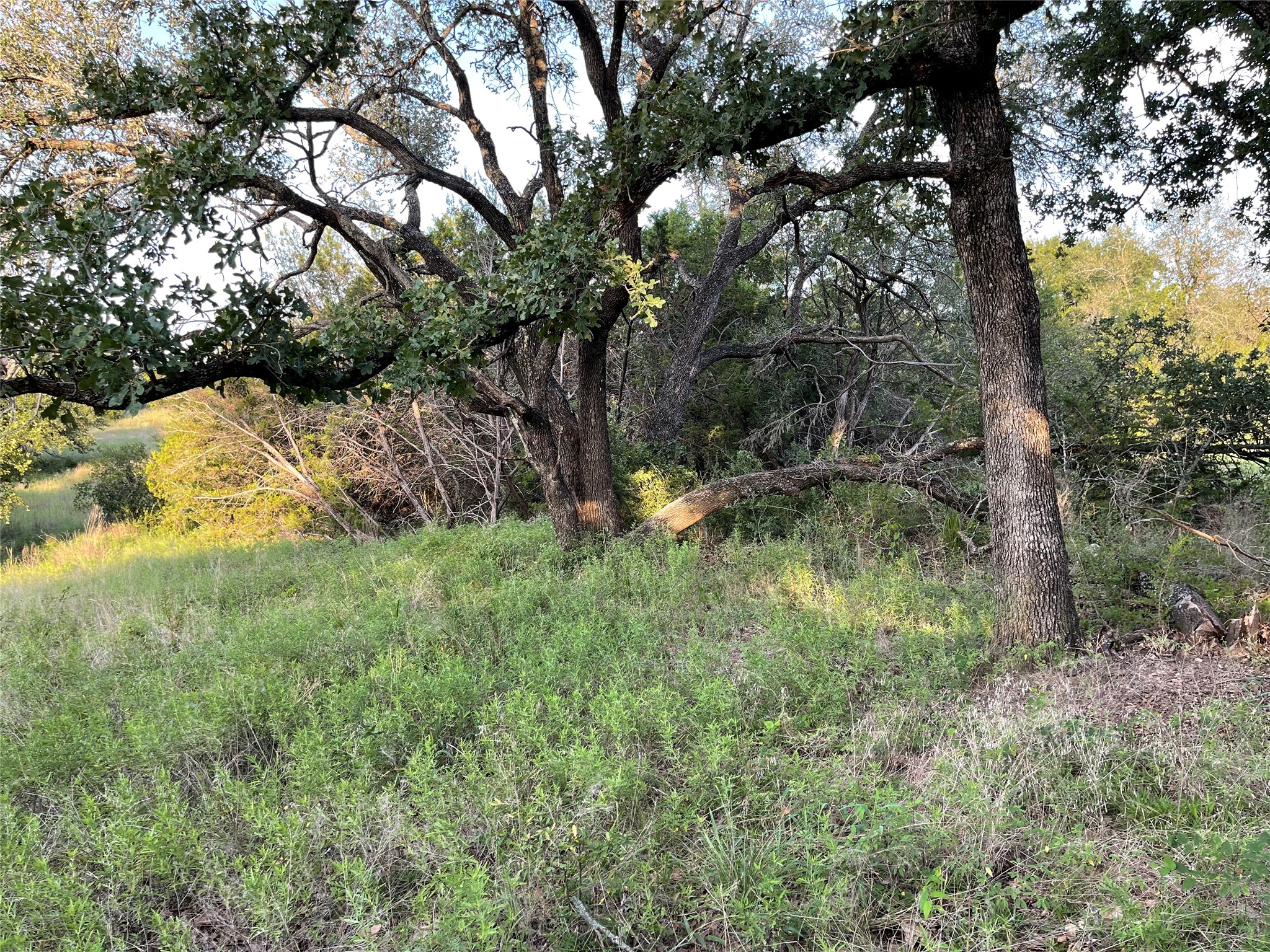 Lot 13 Cr 127 Carlton TX 76436
