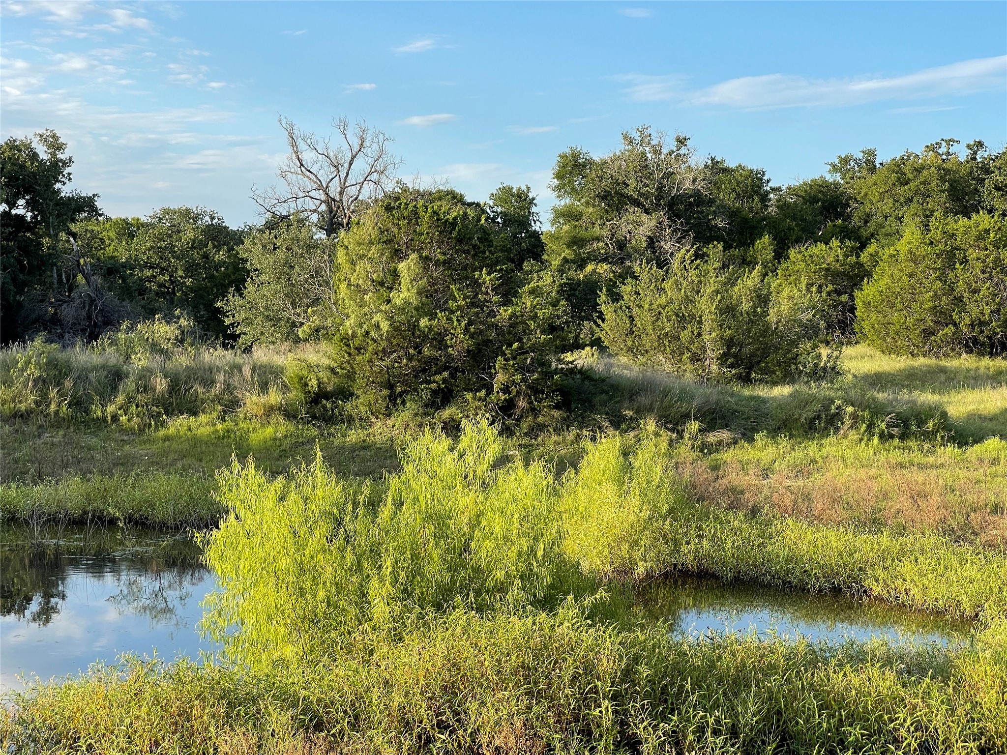 Lot 13 Cr 127 Carlton TX 76436
