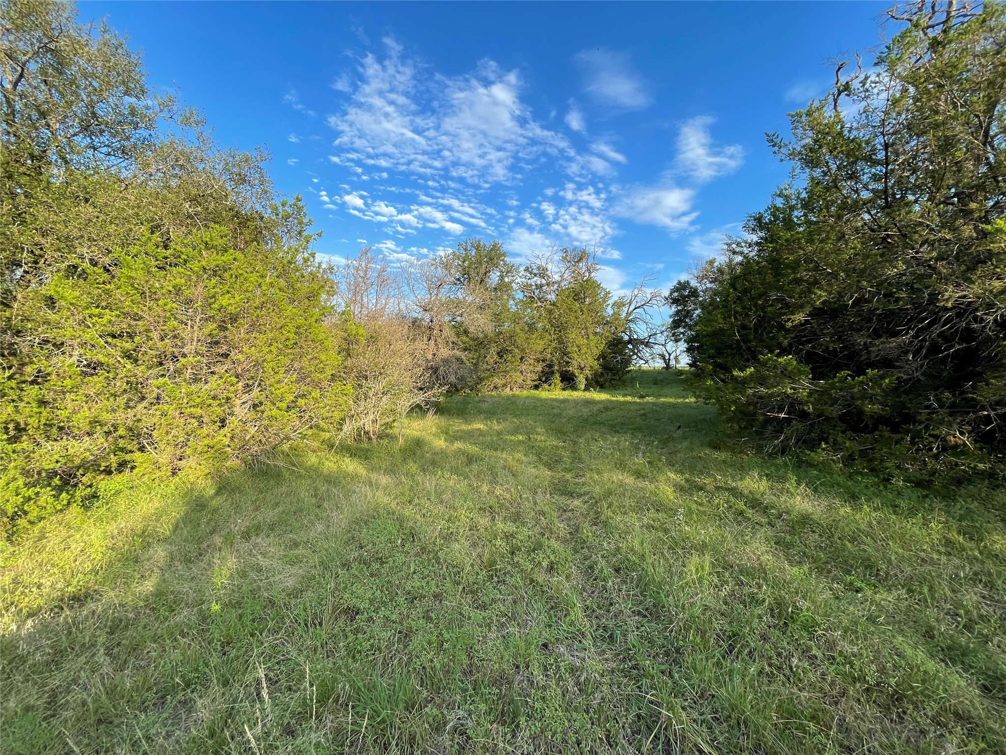 Lot 13 Cr 127 Carlton TX 76436