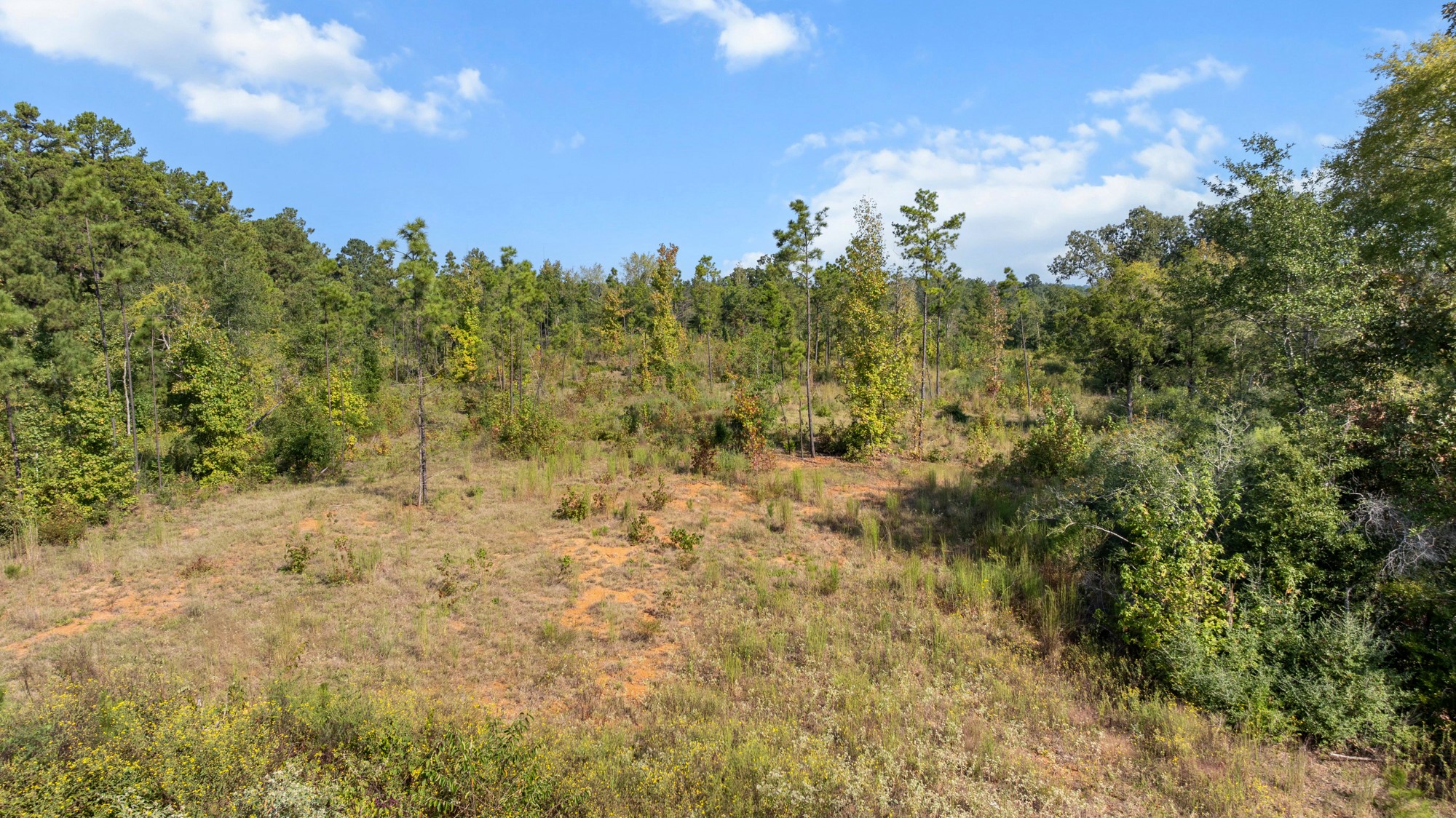 Tbd Fm 2276 Kilgore TX 75662