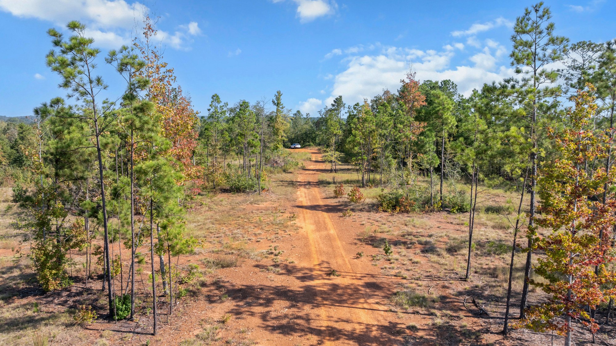Tbd Fm 2276 Kilgore TX 75662