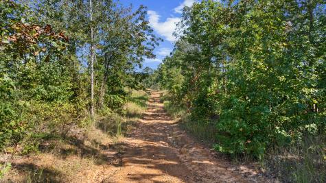 Tbd Fm 2276 Kilgore TX 75662