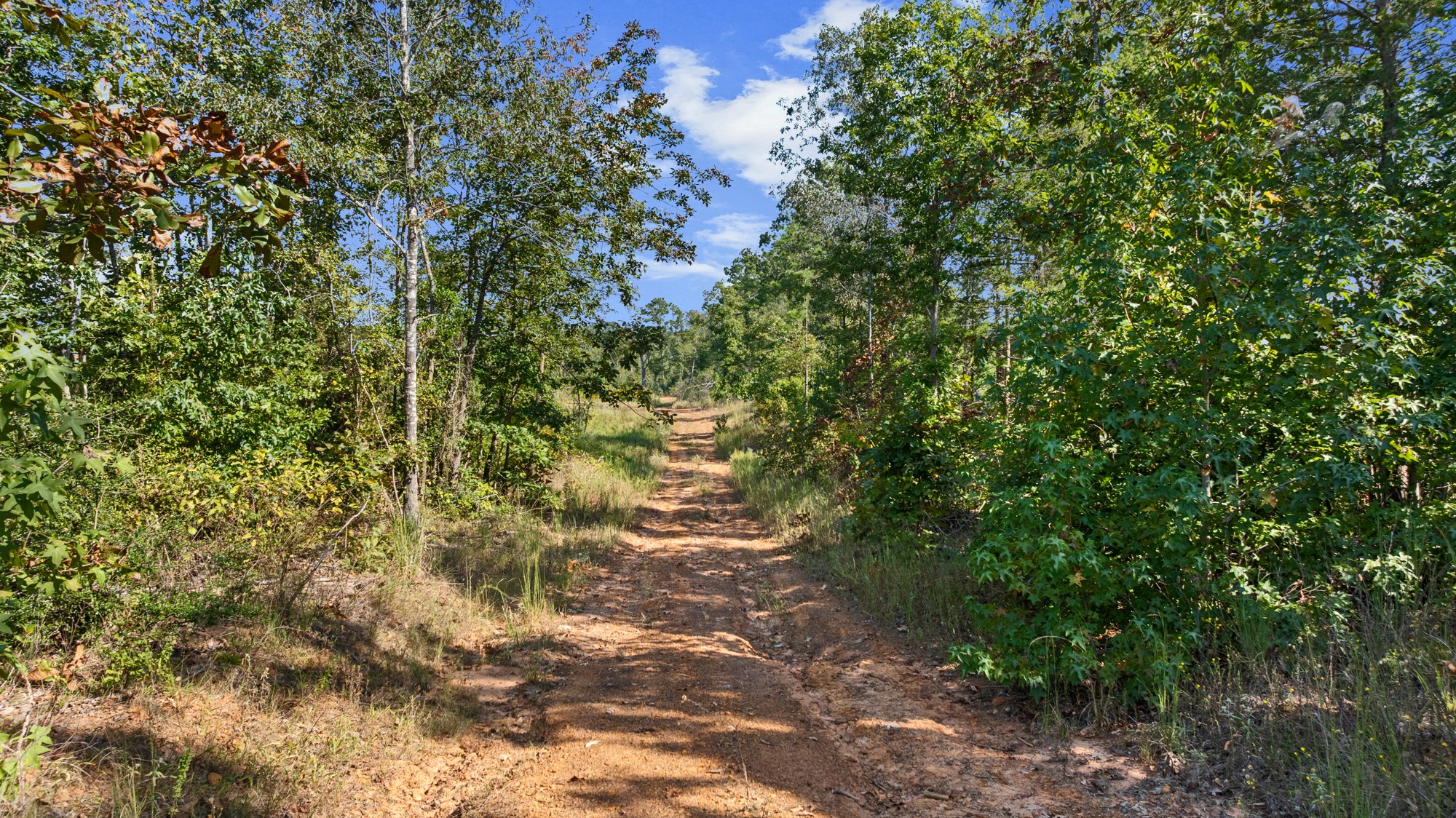 Tbd Fm 2276 Kilgore TX 75662