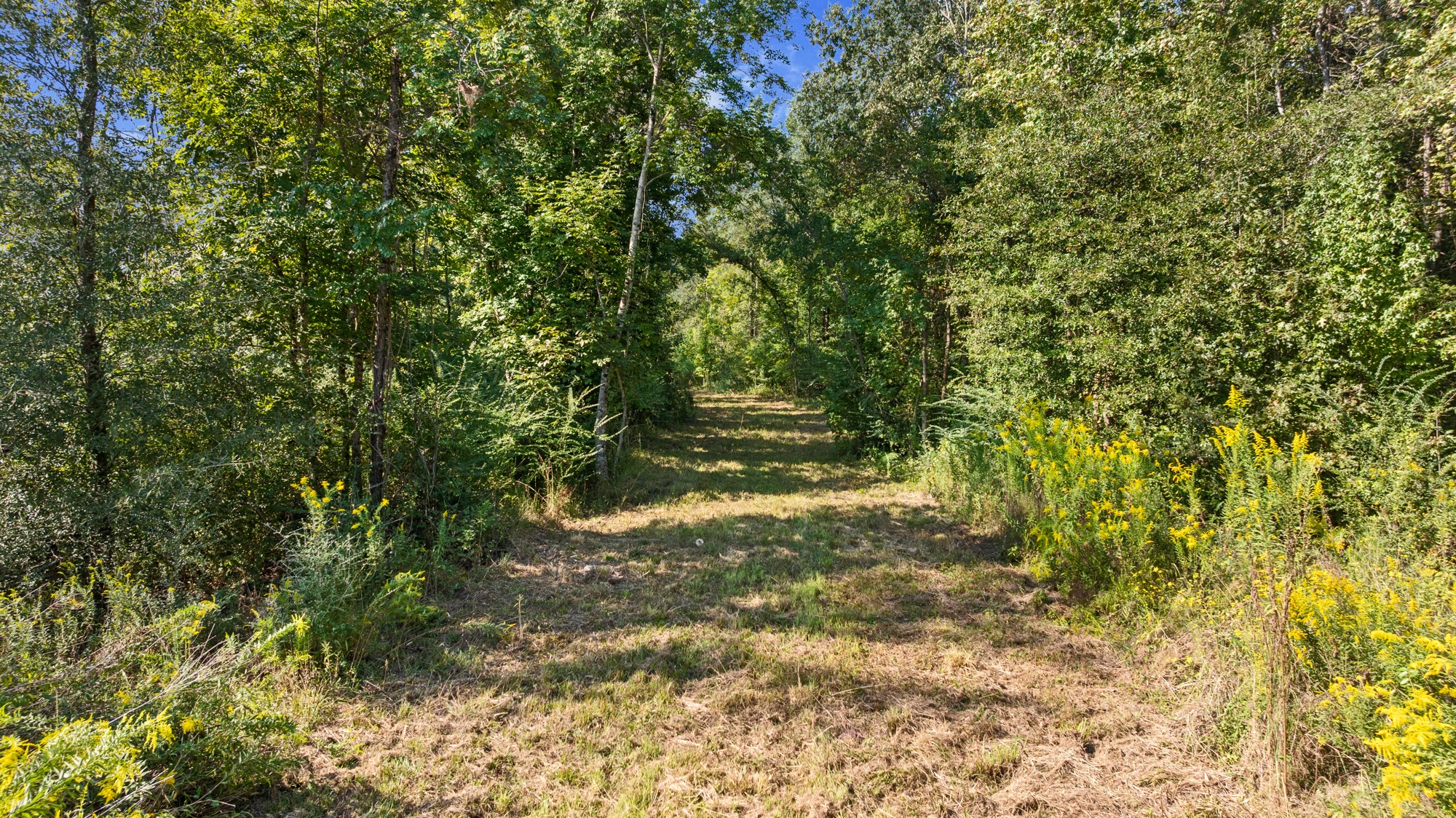 Tbd Fm 2276 Kilgore TX 75662