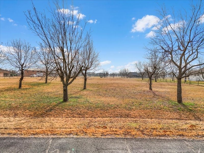 11015 Orchards Boulevard Cleburne TX 76033