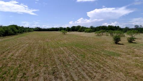 168+/- Acres Sh-14 Wortham TX 76681