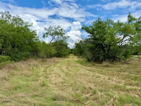 168+/- Acres Sh-14 Wortham TX 76681