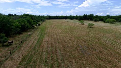 168+/- Acres Sh-14 Wortham TX 76681