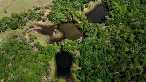 168+/- Acres Sh-14 Wortham TX 76681