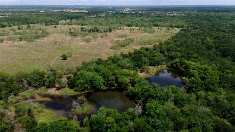168+/- Acres Sh-14 Wortham TX 76681