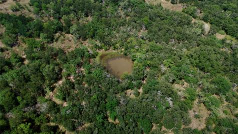 168+/- Acres Sh-14 Wortham TX 76681