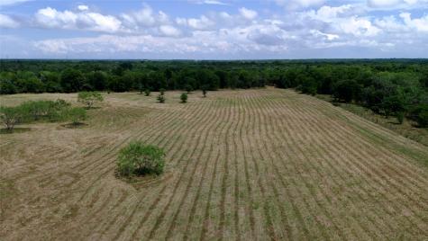 168+/- Acres Sh-14 Wortham TX 76681