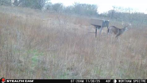168+/- Acres Sh-14 Wortham TX 76681