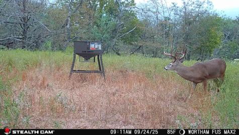 168+/- Acres Sh-14 Wortham TX 76681