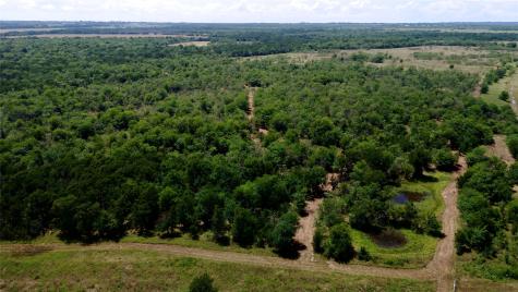 168+/- Acres Sh-14 Wortham TX 76681