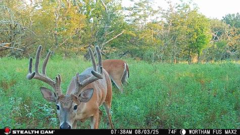 168+/- Acres Sh-14 Wortham TX 76681
