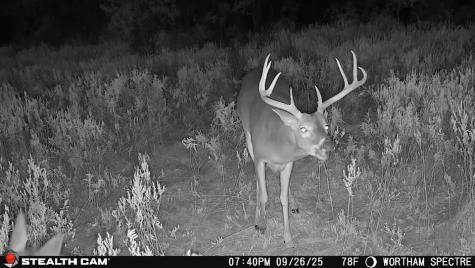 168+/- Acres Sh-14 Wortham TX 76681