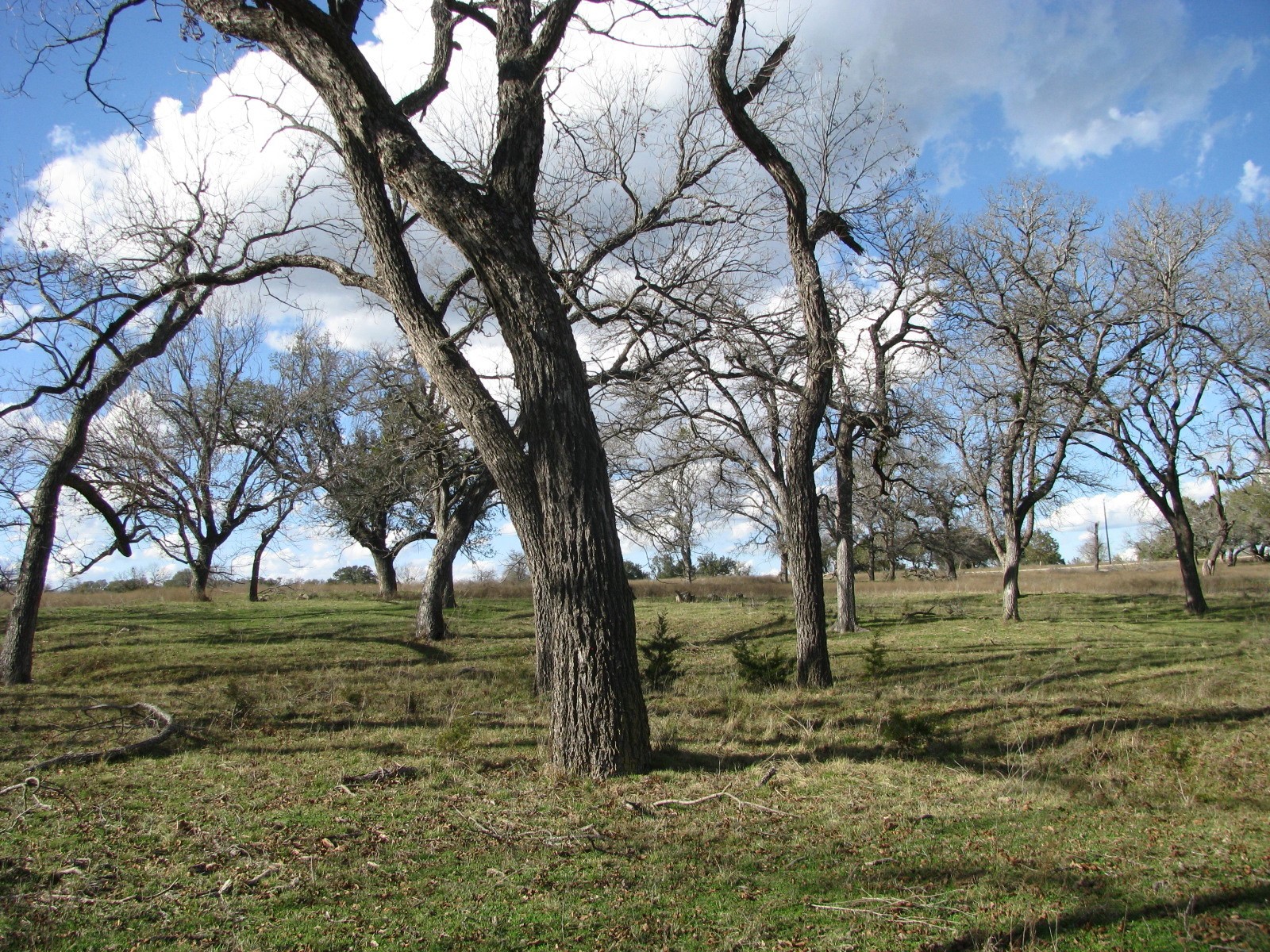 1296 Buffalo Creek Drive Drive Evant TX 76525
