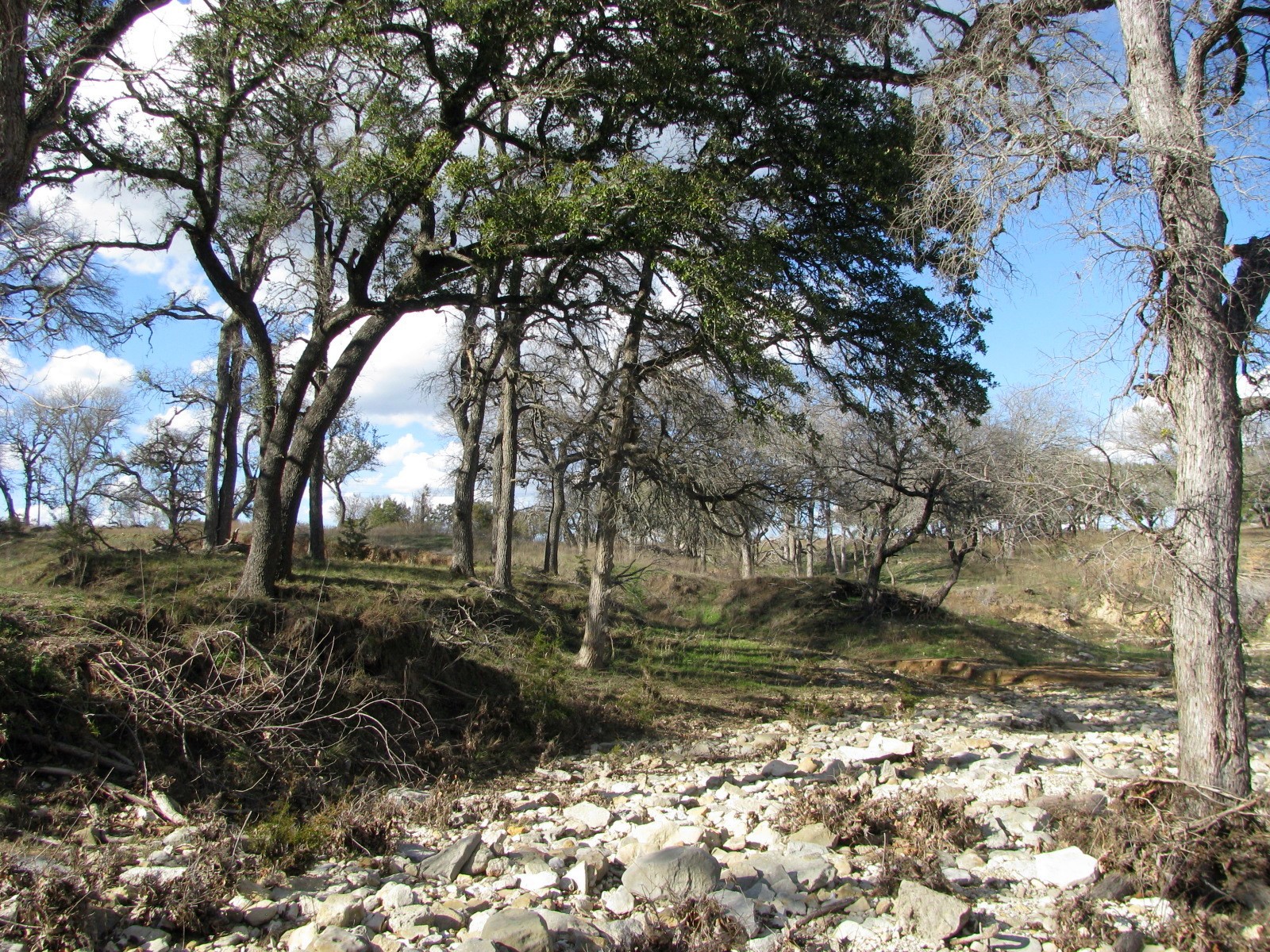 1296 Buffalo Creek Drive Drive Evant TX 76525
