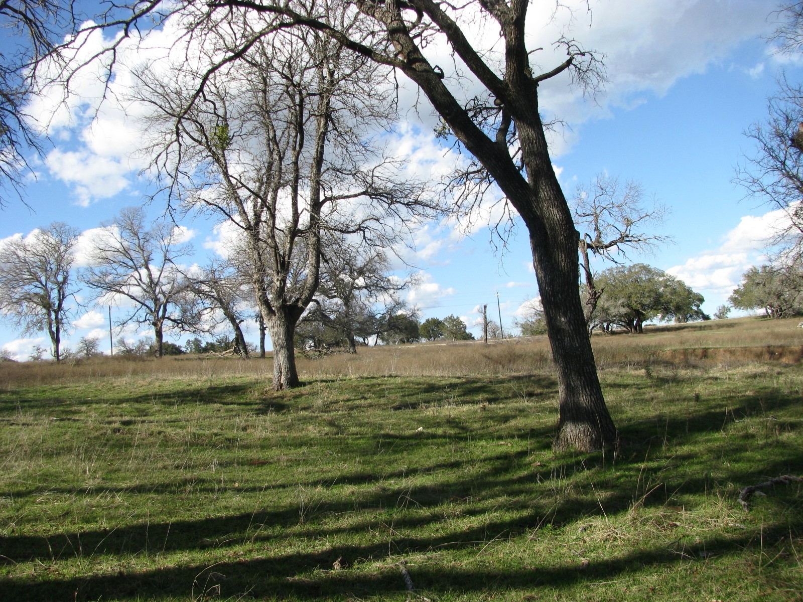 1296 Buffalo Creek Drive Drive Evant TX 76525