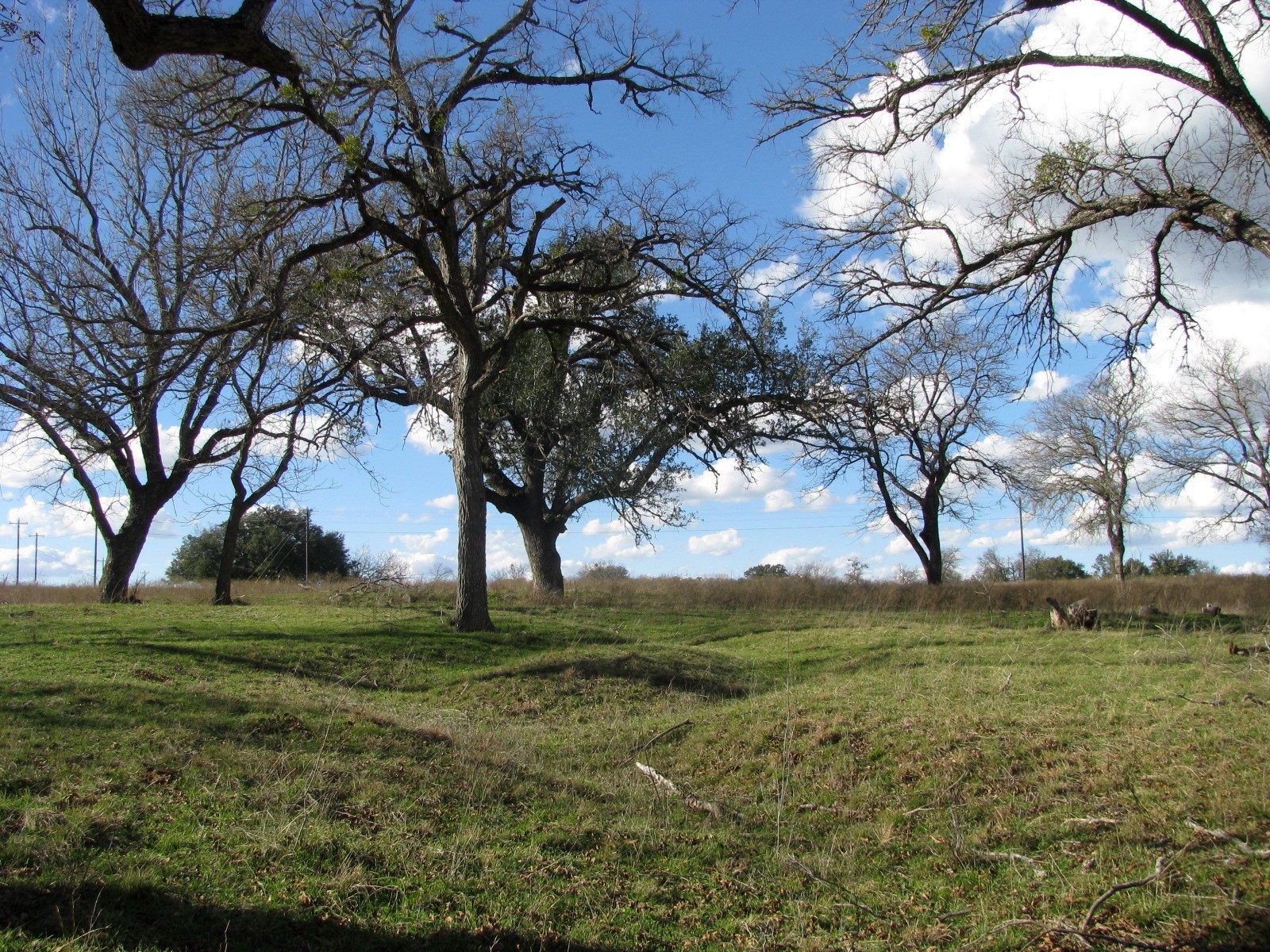 1296 Buffalo Creek Drive Drive Evant TX 76525