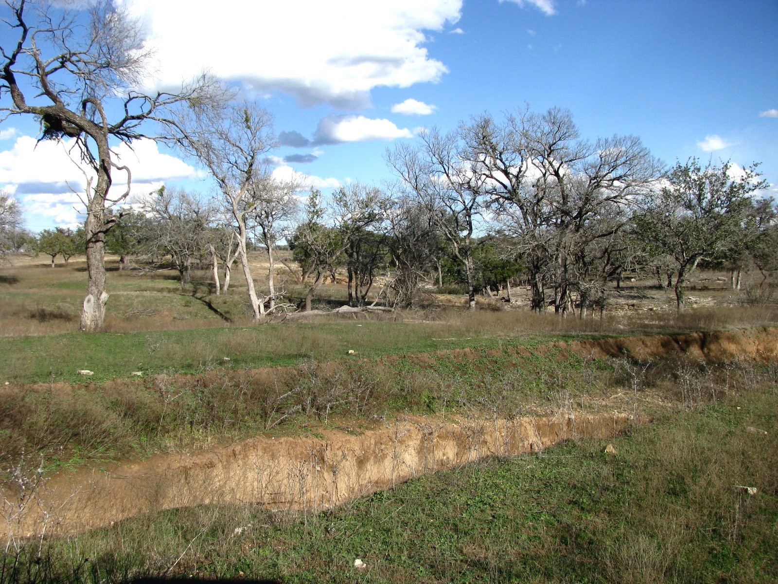 1296 Buffalo Creek Drive Drive Evant TX 76525