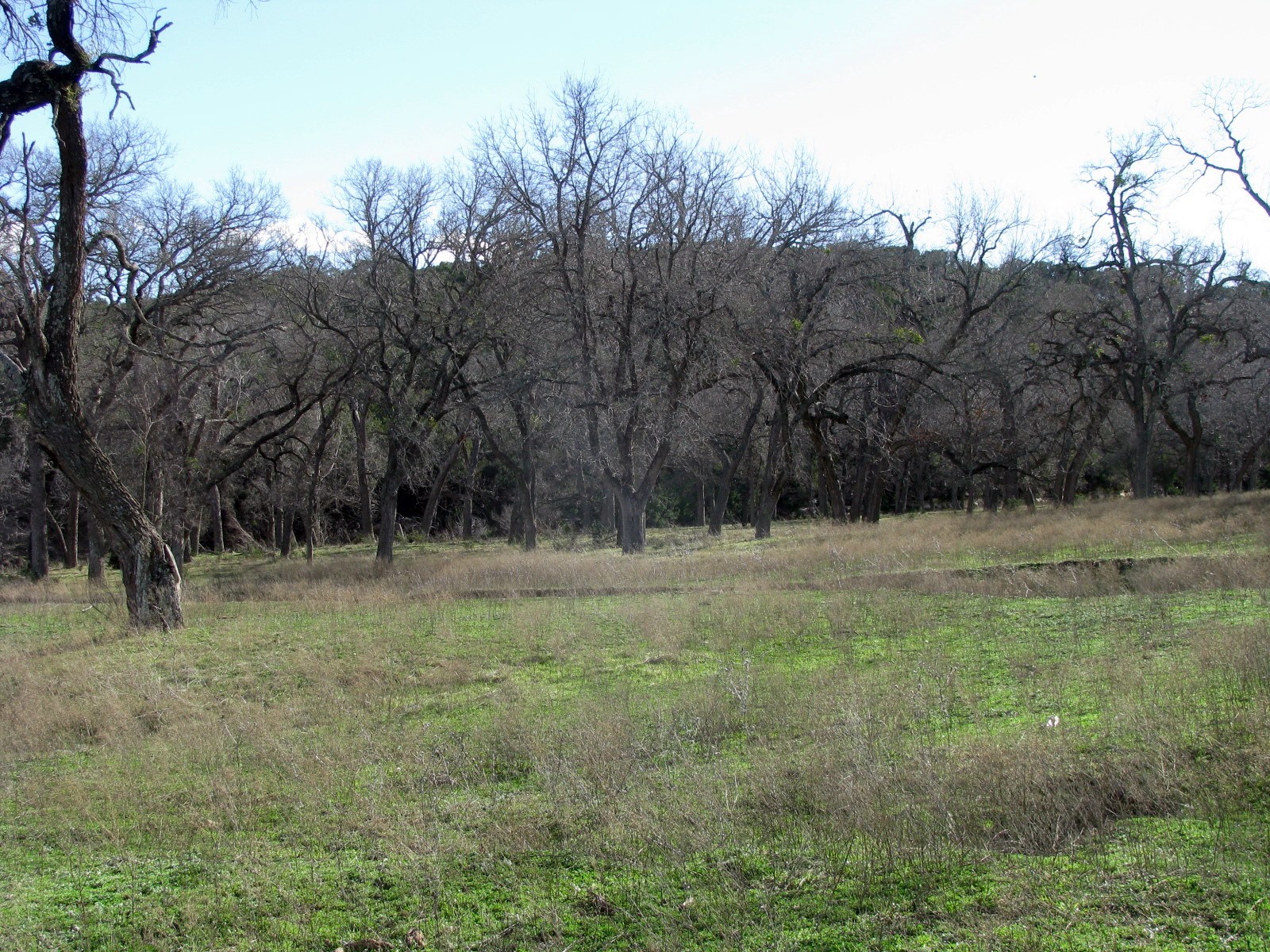 1296 Buffalo Creek Drive Drive Evant TX 76525