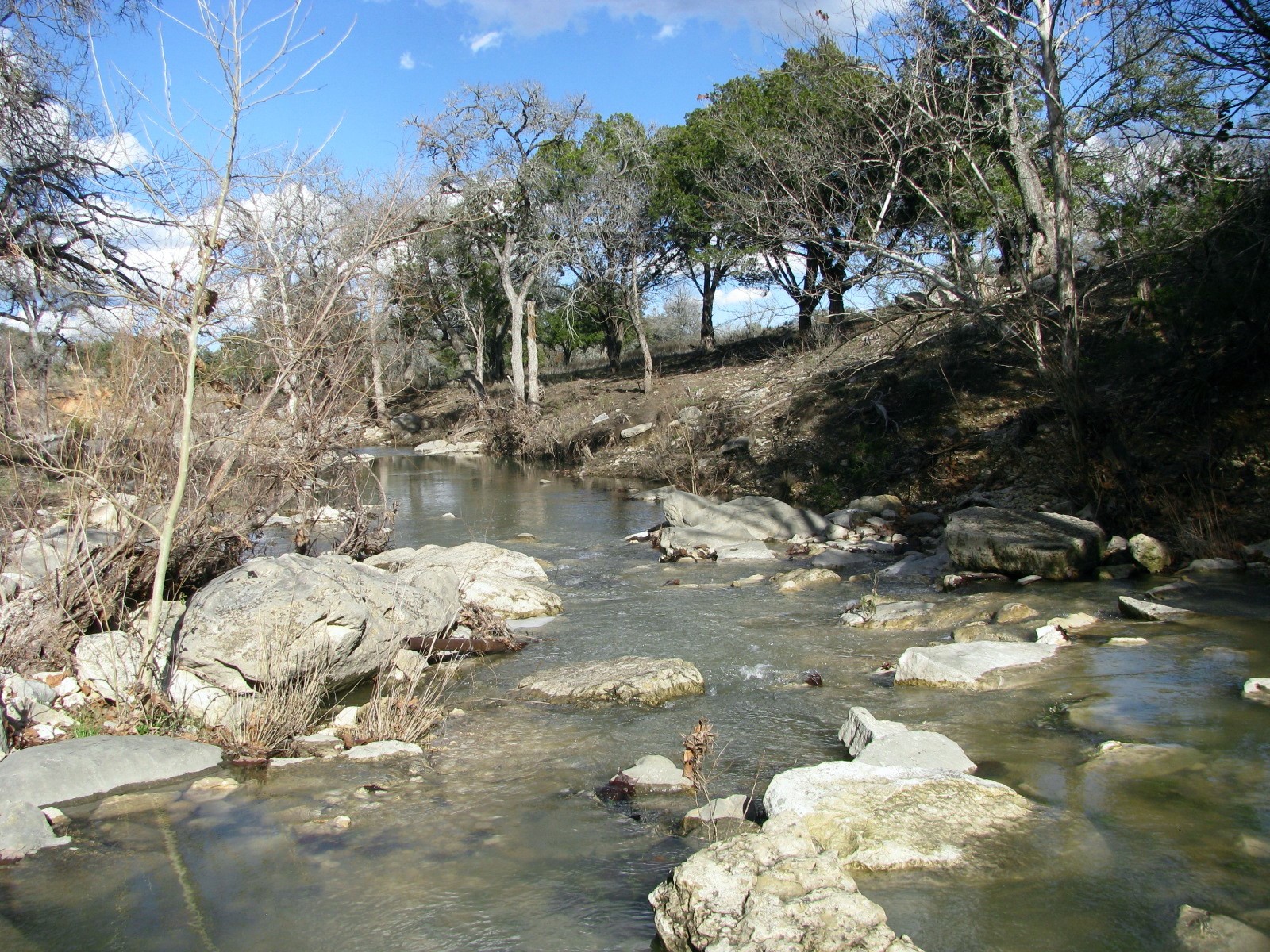 1296 Buffalo Creek Drive Drive Evant TX 76525