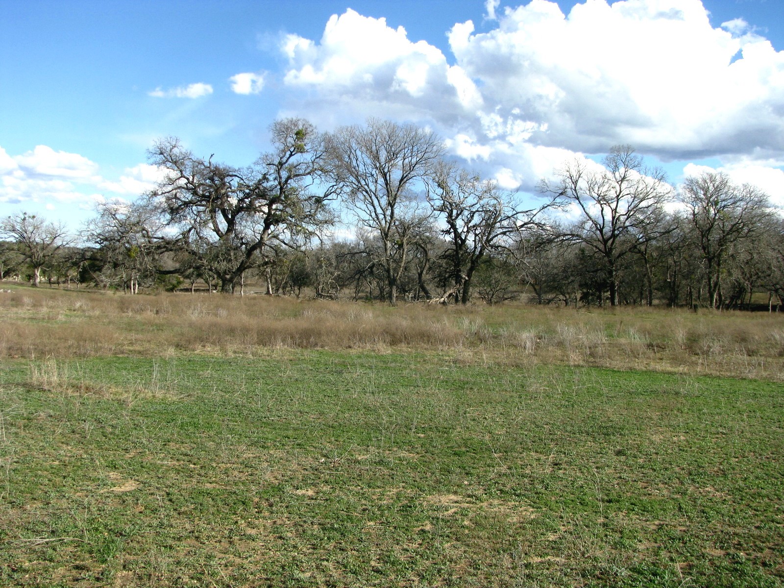 1296 Buffalo Creek Drive Drive Evant TX 76525