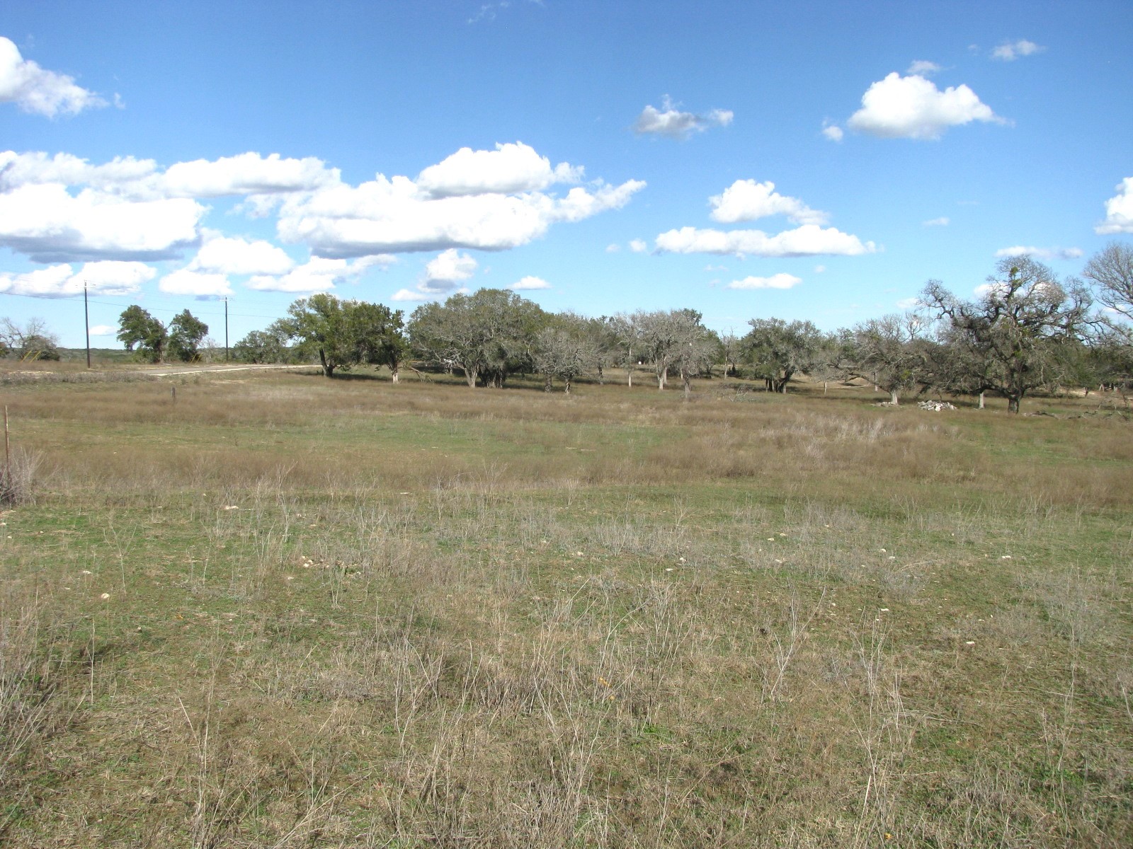1296 Buffalo Creek Drive Drive Evant TX 76525