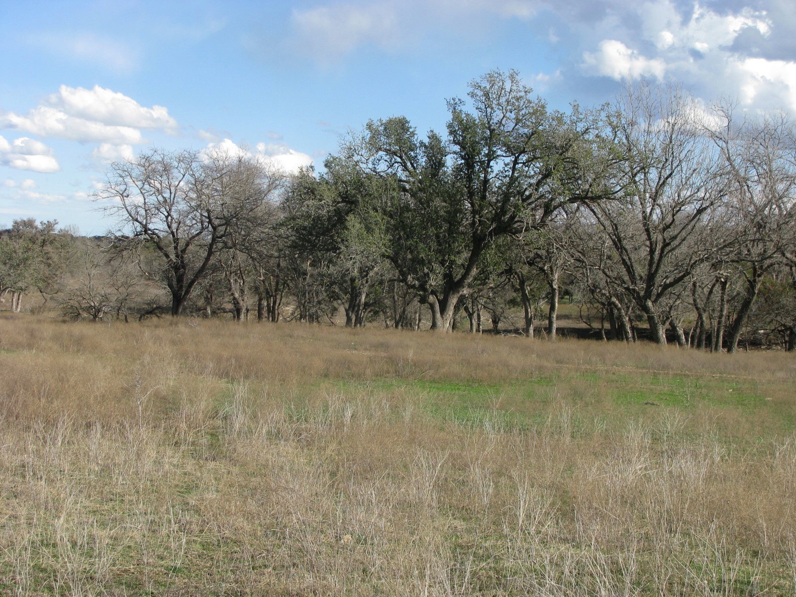 1296 Buffalo Creek Drive Drive Evant TX 76525