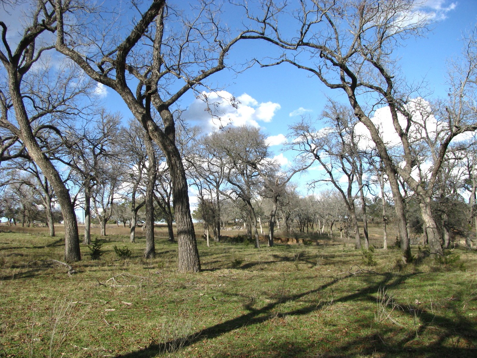 1296 Buffalo Creek Drive Drive Evant TX 76525