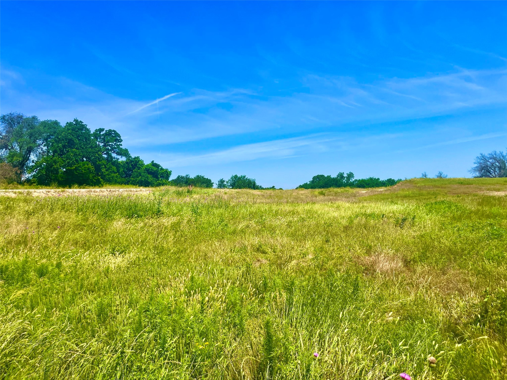Lot 96 Kilkenny Road Poolville TX 76487