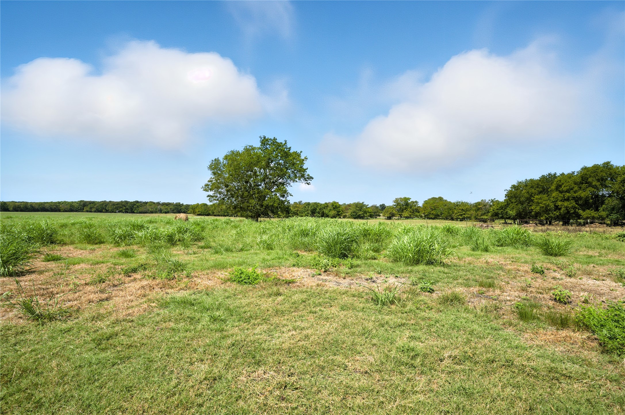 9620 Fm 895 Lake Creek TX 75450